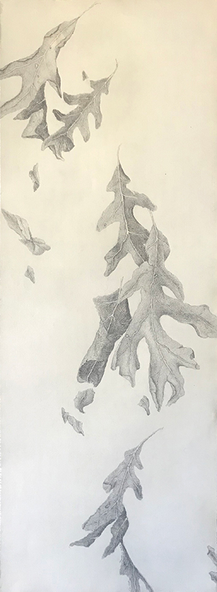 Kathy Strauss drawing, Fallen