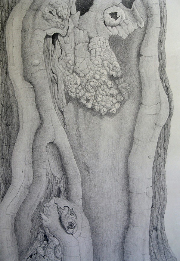 Kathy Strauss drawing, Linthicum Locust 1