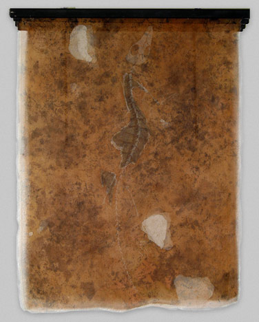 Remains