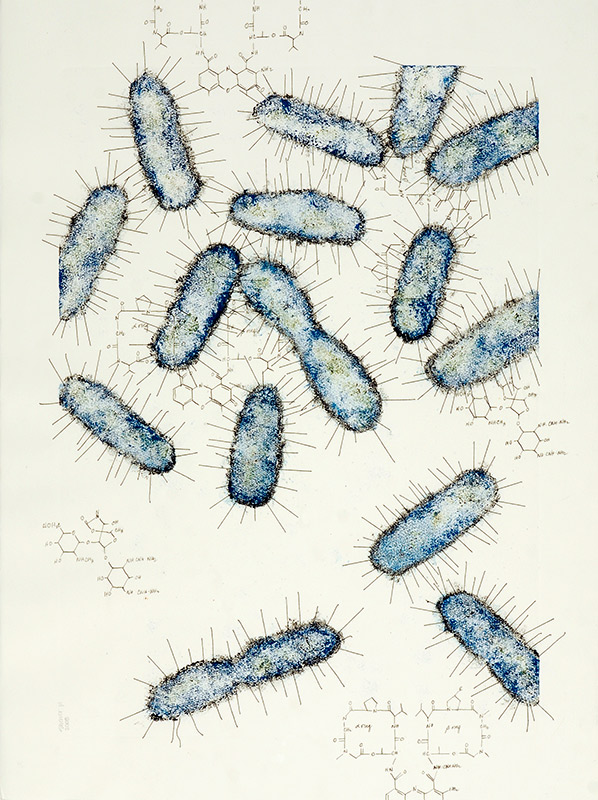 Kathy Strauss print, Untitled (E. coli)