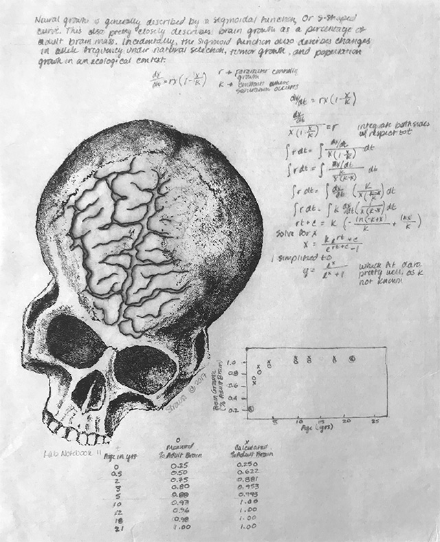 Kathy Strauss print, Lab Notebook 11