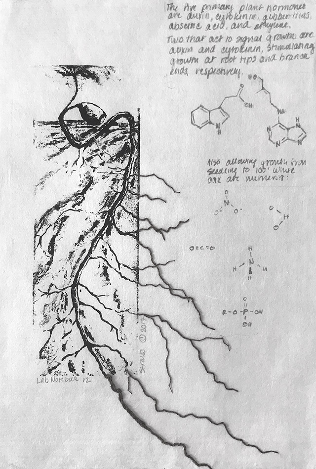 Kathy Strauss print, Lab Notebook 12