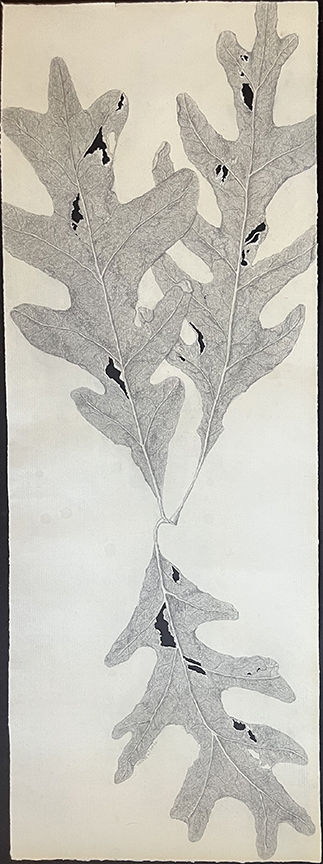 Kathy Strauss drawing, Fallen Leaves