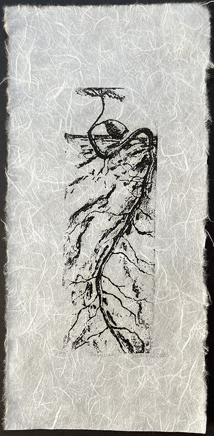 Kathy Strauss print, Oak Seedling